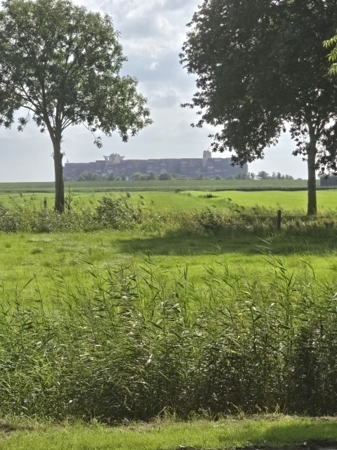 Blick aus dem Fenster