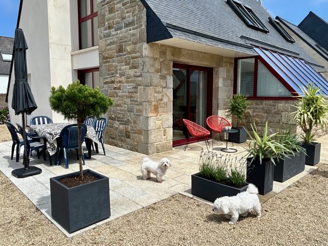 Hunde Paradies