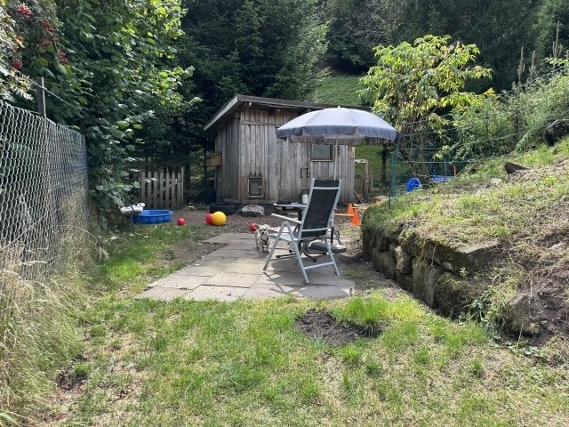 eingezäunter Hundespielplatz