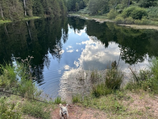 Kaltenbachsee Gompelscheuer