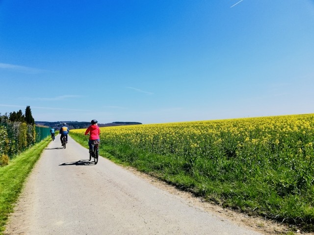 Traumpfade zum Wandern und Radwege an Mosel und Hunsrück