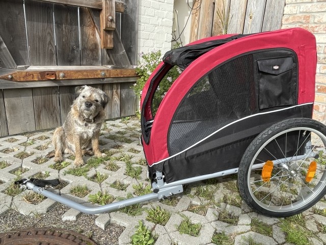 Hundeanhänger