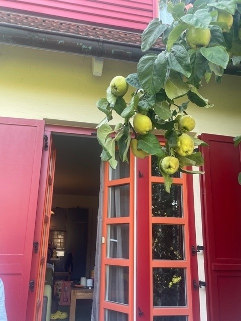Terasse