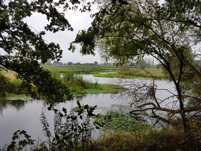 Die Niers