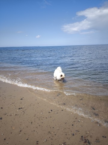 Strandvergnügen 