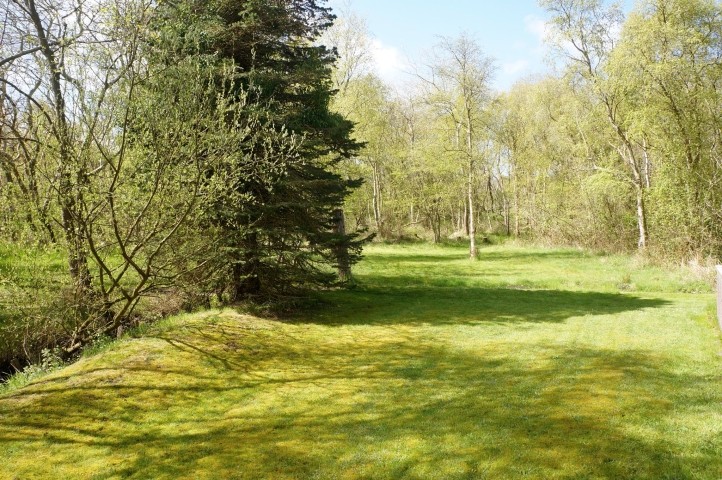Der große Garten