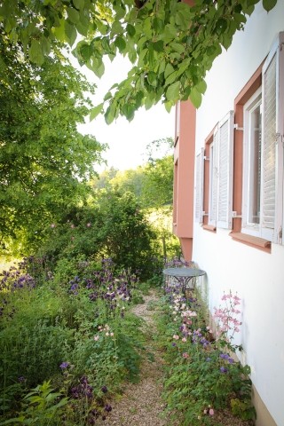 Kraftort im Garten