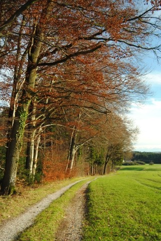 Indian Summer im Voralpenland