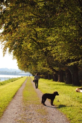 Spaziergang auf Herrenchiemsee