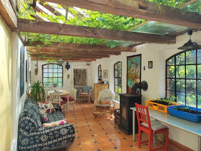 Mediterraner Wintergarten 