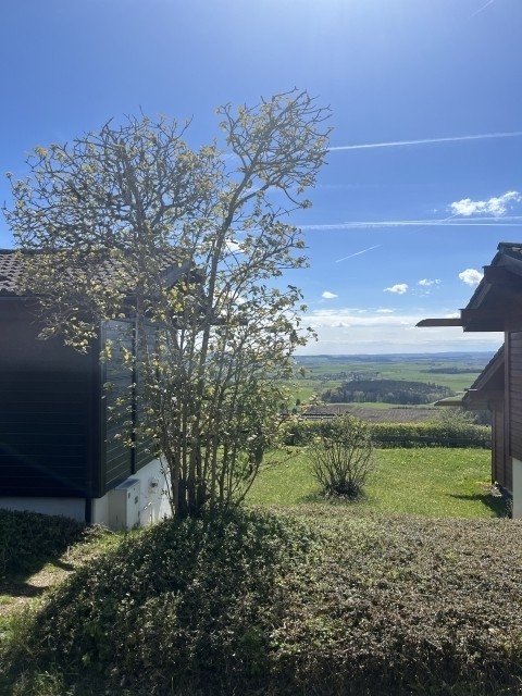 Atemberaubende Aussicht, bei guter Sicht bis zum Feldberg