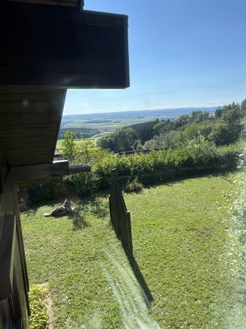 Traumhafte Aussicht vom Schlafzimmer 2