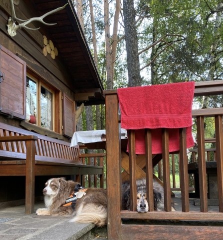 Paul und Ronja, einfach zum knuddeln 