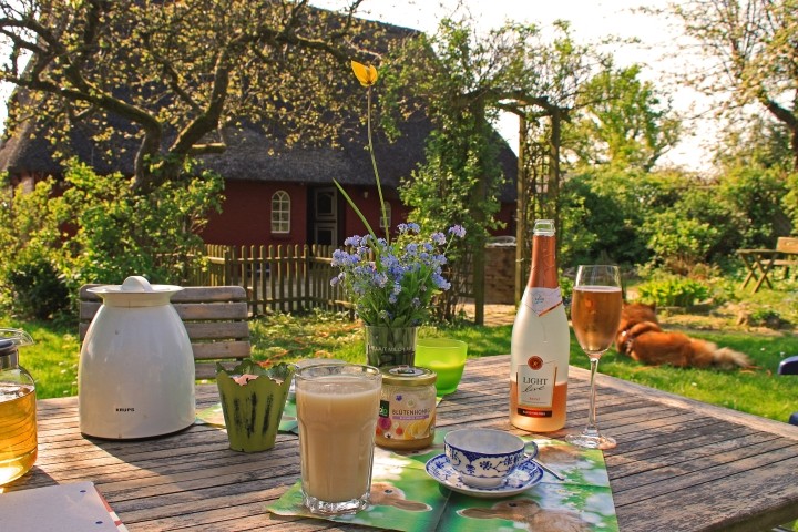 Terrasse mit Blick auf das Haus 
