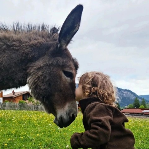 Kinder lieben unsere Esel Rosalie, Camilla und Emma