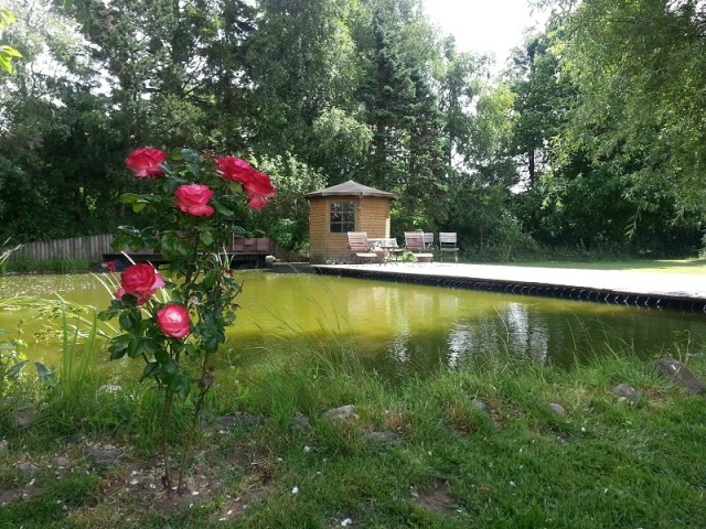 Blick auf den Schwimmteich