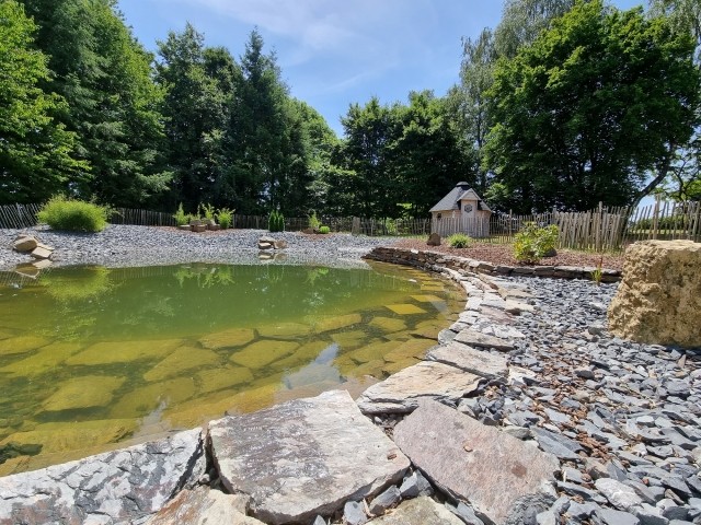 Schwimmteich für Mensch 