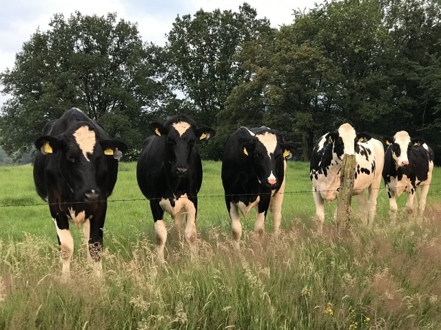 Bergisches Land