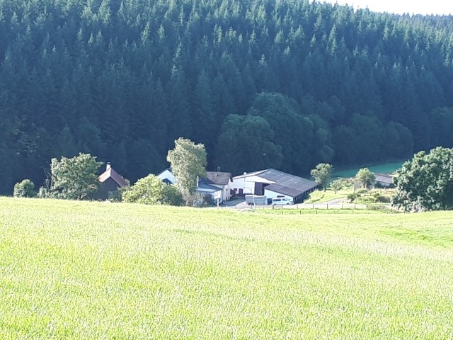 Blick aus der Ferne.