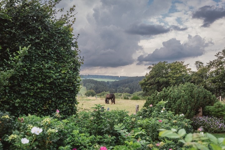 Blick vom Garten auf Pferdewiesen