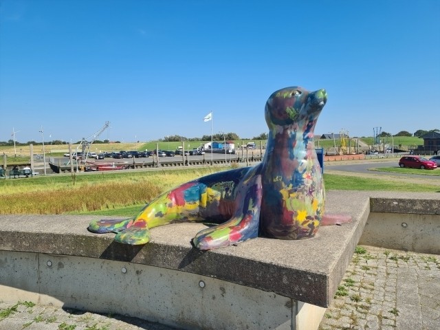  Robbe in Dorum-Neufeld 