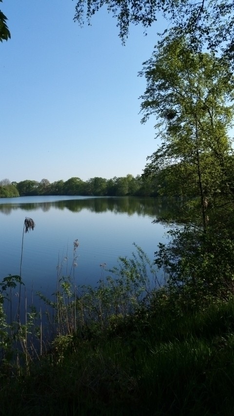 Kiessee Berumbur 