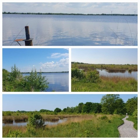 Ewiges Meer Hochmoorsee Eversmeer