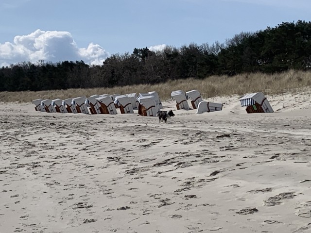 Strand vom Ostseebad  Baabe