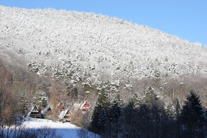 Die Umgebung: Winter in Leinsweiler