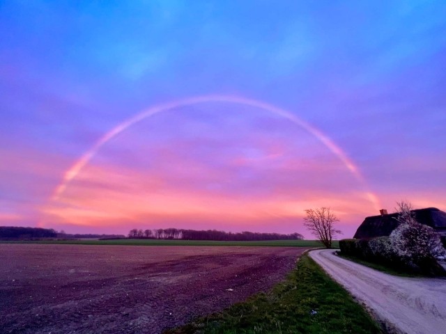 Regenbogen