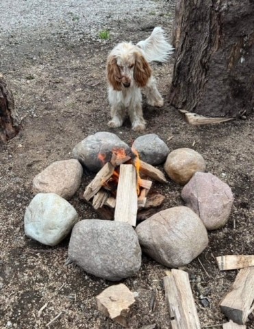 Lagerfeuer