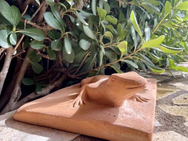 le grand lézard
