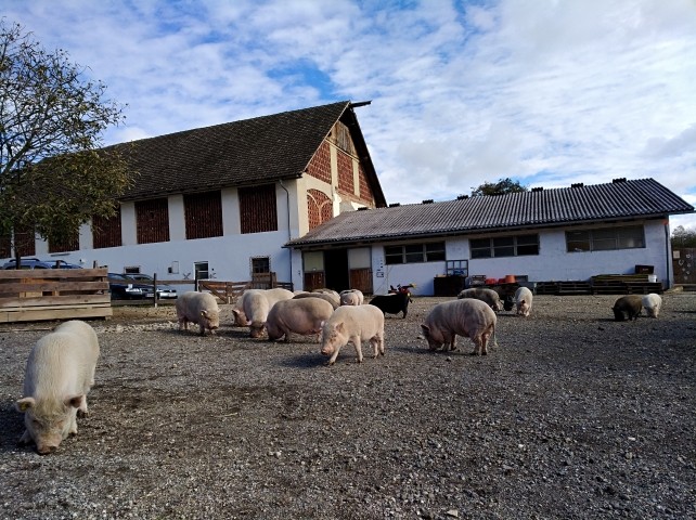 Melcherhof