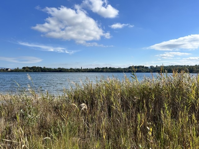 Olbersdorfer See