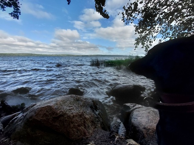 Tollensesee 30 min.