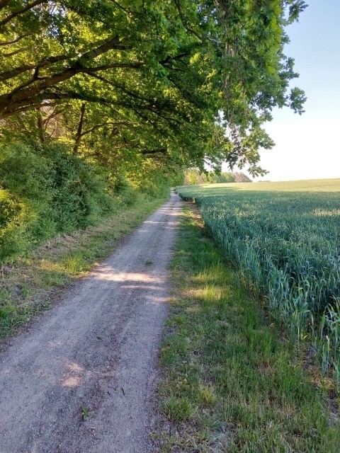 Wanderwege direkt an der Ferienwohnung 
