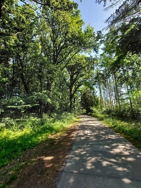 Weg zu der Ferienwohnung 