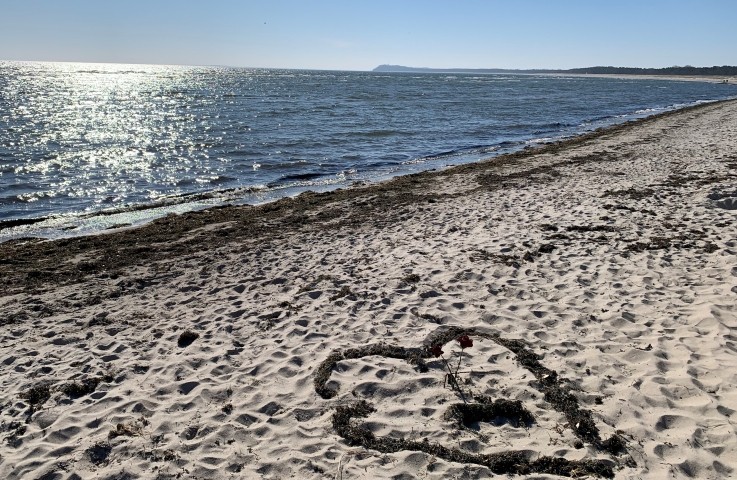 Herzlich Willkommen im Ostseebad Baabe