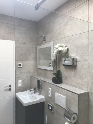 Blick in das moderne Bad mit WC , ebenerdiger Dusche, Fön