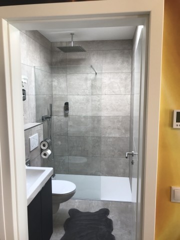 Blick in das moderne Bad mit WC , Regendusche, Fön