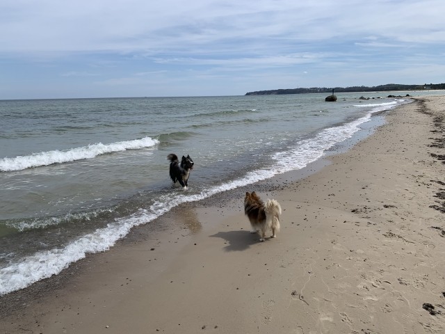 Nordstrand von Göhren