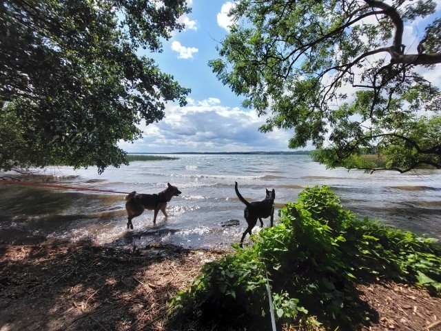 Am Tollensesee 