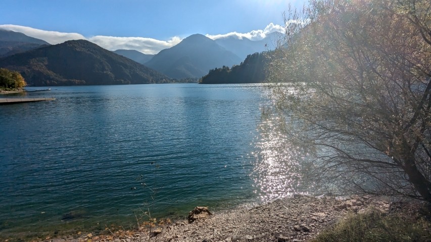 Ledrosee