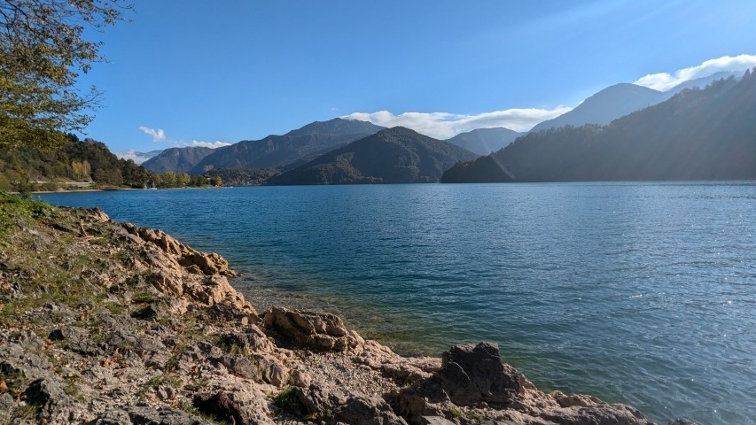 Ledrosee