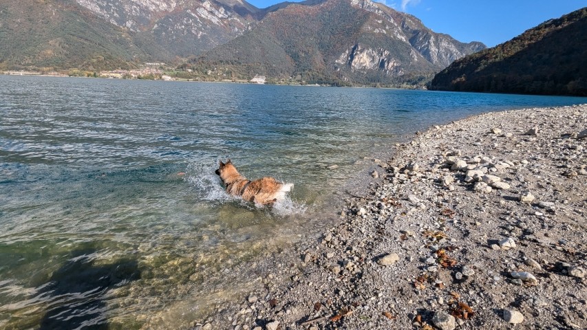 Hundestrand in Pur di Ledro
