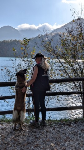 Hunde willkommen