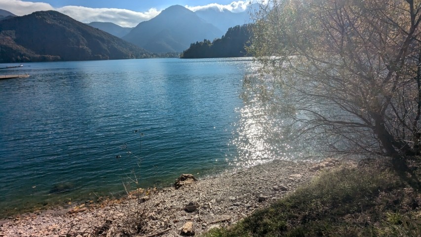 Ledrosee