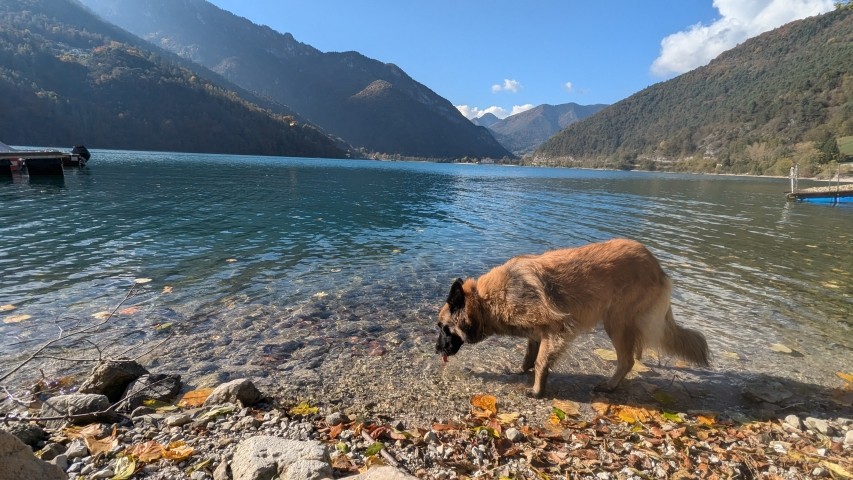 glasklares Wasser
