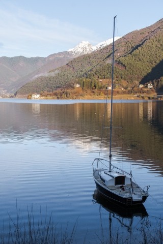 Natur pur! Ideal für Urlaub mit dem Hund 