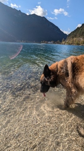 glasklares Wasser